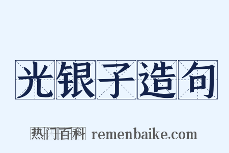 光银子造句是什么意思的图片